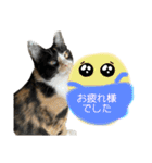 うちのだいじだいじ♡（個別スタンプ：6）