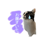 うちのだいじだいじ♡（個別スタンプ：7）