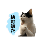 うちのだいじだいじ♡（個別スタンプ：11）