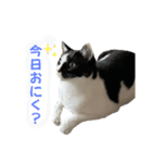 うちのだいじだいじ♡（個別スタンプ：25）