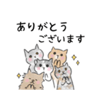 猫さんたくさん（個別スタンプ：4）