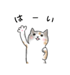 猫さんたくさん（個別スタンプ：6）