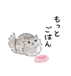 猫さんたくさん（個別スタンプ：13）