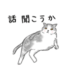 猫さんたくさん（個別スタンプ：21）