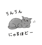 猫さんたくさん（個別スタンプ：22）