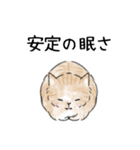 猫さんたくさん（個別スタンプ：26）