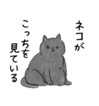 猫さんたくさん（個別スタンプ：39）