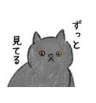 猫さんたくさん（個別スタンプ：40）