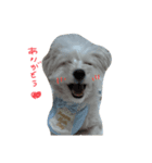 ミルくんだお2（個別スタンプ：4）