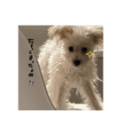 ミルくんだお2（個別スタンプ：7）
