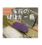 縁起の良い沖縄大好き、沖縄行きたい10。（個別スタンプ：23）