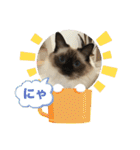 もこはなスタンプ4（個別スタンプ：1）