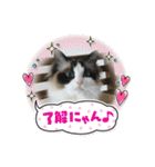 もこはなスタンプ4（個別スタンプ：16）