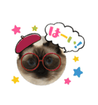 もこはなスタンプ4（個別スタンプ：17）