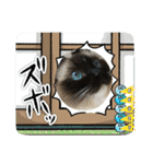 もこはなスタンプ4（個別スタンプ：19）