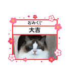 もこはなスタンプ4（個別スタンプ：21）