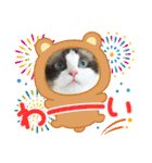 もこはなスタンプ4（個別スタンプ：22）