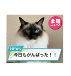 もこはなスタンプ4（個別スタンプ：26）