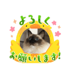 もこはなスタンプ4（個別スタンプ：27）