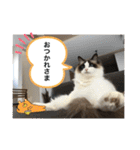 もこはなスタンプ4（個別スタンプ：33）