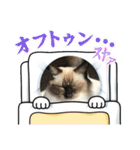 もこはなスタンプ4（個別スタンプ：34）