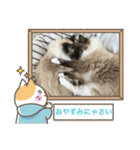 もこはなスタンプ4（個別スタンプ：37）