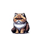 ドット絵 猫スタンプ40（個別スタンプ：17）