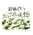 ボタニカル×ちょっと目上の人にも！敬語（個別スタンプ：12）