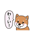 しゃべる犬。(柴犬)（個別スタンプ：15）