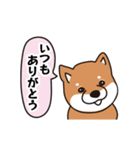 しゃべる犬。(柴犬)（個別スタンプ：23）