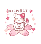 【丁寧語】初めまして！桜色猫のごあいさつ（個別スタンプ：1）