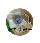 こしあん(番外編)（個別スタンプ：2）