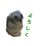 こしあん(番外編)（個別スタンプ：3）