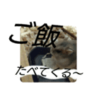こしあん(番外編)（個別スタンプ：4）