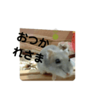 こしあん(番外編)（個別スタンプ：6）