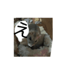こしあん(番外編)（個別スタンプ：10）