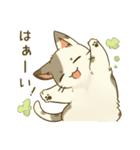 ちびねこ さばトラふれんず その2（個別スタンプ：11）