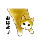 たまにネコ語の猫たち（個別スタンプ：17）