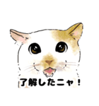 たまにネコ語の猫たち（個別スタンプ：19）