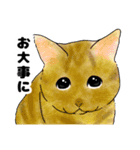 たまにネコ語の猫たち（個別スタンプ：22）