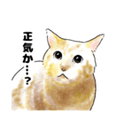 たまにネコ語の猫たち（個別スタンプ：27）