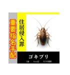 面白い架空重要指名手配写真スタンプ（個別スタンプ：16）