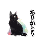 シンプル黒猫☆あいさつスタンプ（個別スタンプ：11）