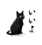 シンプル黒猫☆あいさつスタンプ（個別スタンプ：13）