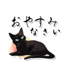 シンプル黒猫☆あいさつスタンプ（個別スタンプ：20）