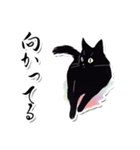 シンプル黒猫☆あいさつスタンプ（個別スタンプ：28）
