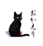 シンプル黒猫☆あいさつスタンプ（個別スタンプ：36）