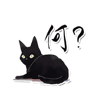 シンプル黒猫☆あいさつスタンプ（個別スタンプ：38）