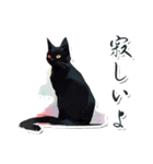 シンプル黒猫☆あいさつスタンプ（個別スタンプ：39）