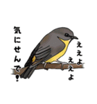 オーストラリア某山の鳥たち（個別スタンプ：11）